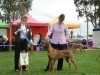 The Rhodesian Ridgeback Club of Victoria 28th Championship Show, 17.05.2014 - Winner Australian Bred Dog Class Ch. KIMBISHA MAKING MAGIC.  Iva judge comment: 5 years old, nice neck, correct ridge, well proportioned, excellent mover