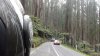 Black Spur Road - Tato silnice je vyhlášená mezi motorkáři. V květnu ale už není jejich sezóna, a tak jsme narazili na čoudící dodávku...