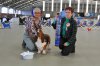 9th National Basset Hound Championship Show, 16.05.2014 - Best Fronted Bitch, Best Gaited Bitch, 2nd in Australian bred Class GLENFERN GOOD GOLLY MISS MOLLY