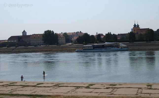 CACIB Osijek - výstava se konala na osijeckém koupališti na břehu řeky Dravy