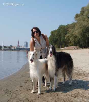 CACIB Osijek - na pláži