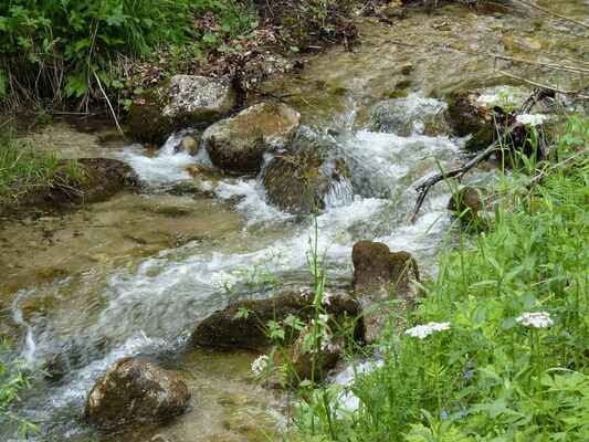 Zurčící voda - Dierový potok